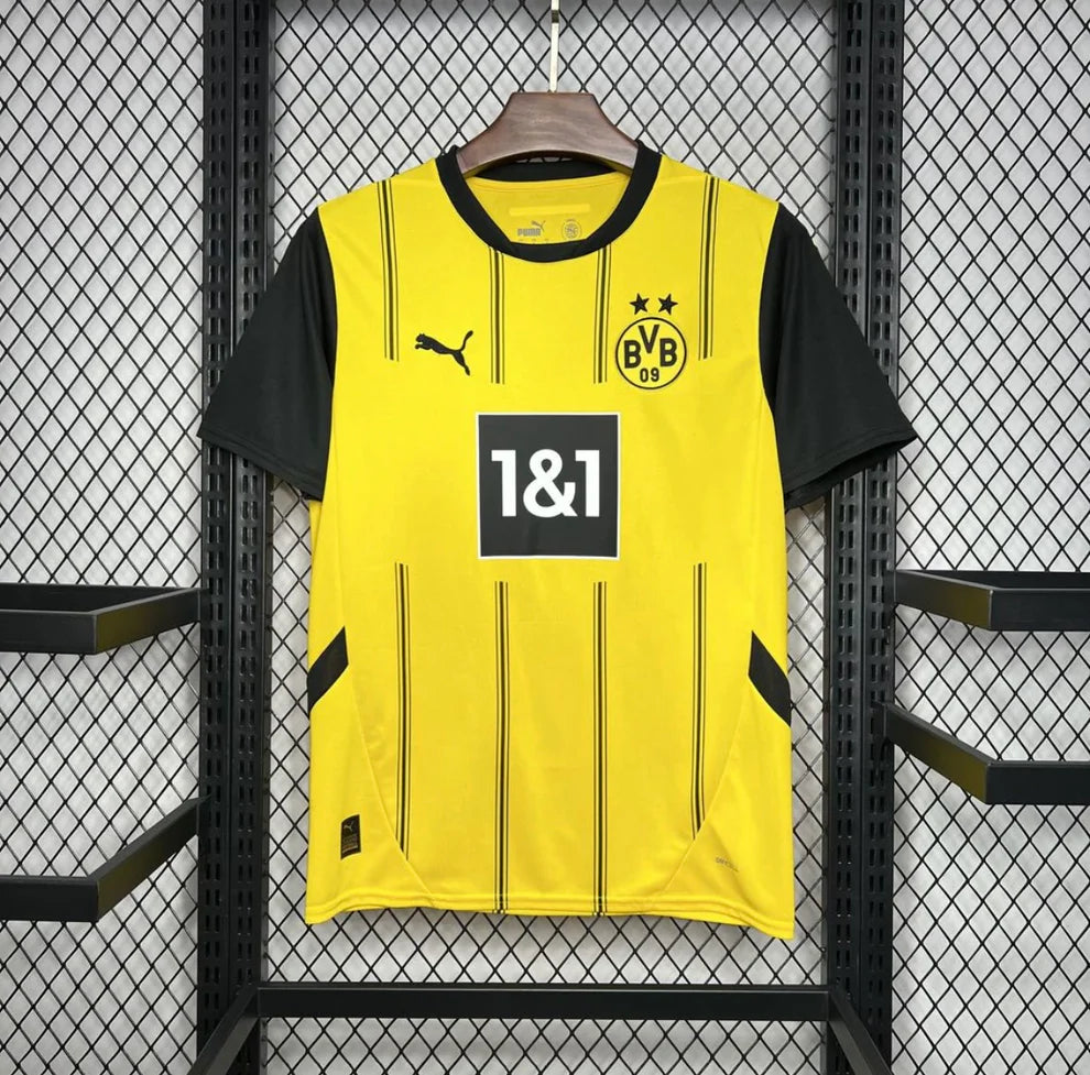 Borussia Dortmund 2024/25
